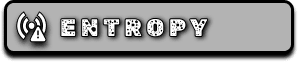 The Entropy gauge